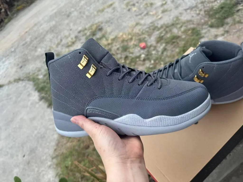 Air Jordan 12 Dark Grey Gold