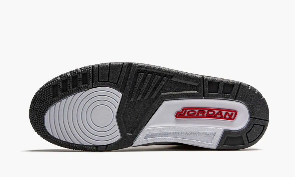 Air Jordan 3 Retro Cool Grey iconic - Hình 5