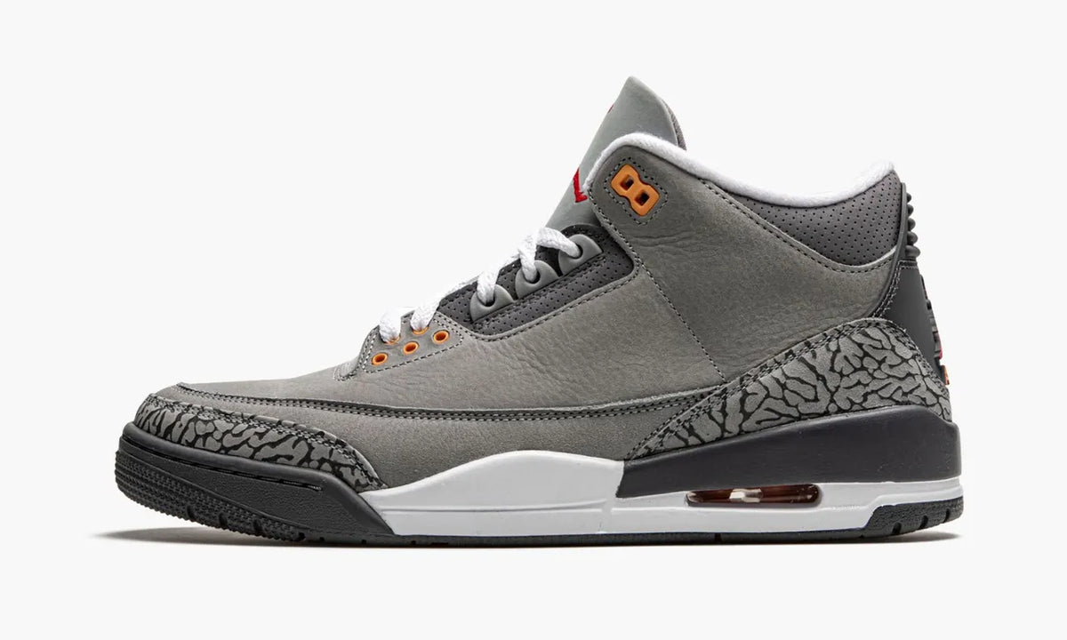 Air Jordan 3 Retro Cool Grey iconic - Hình 2