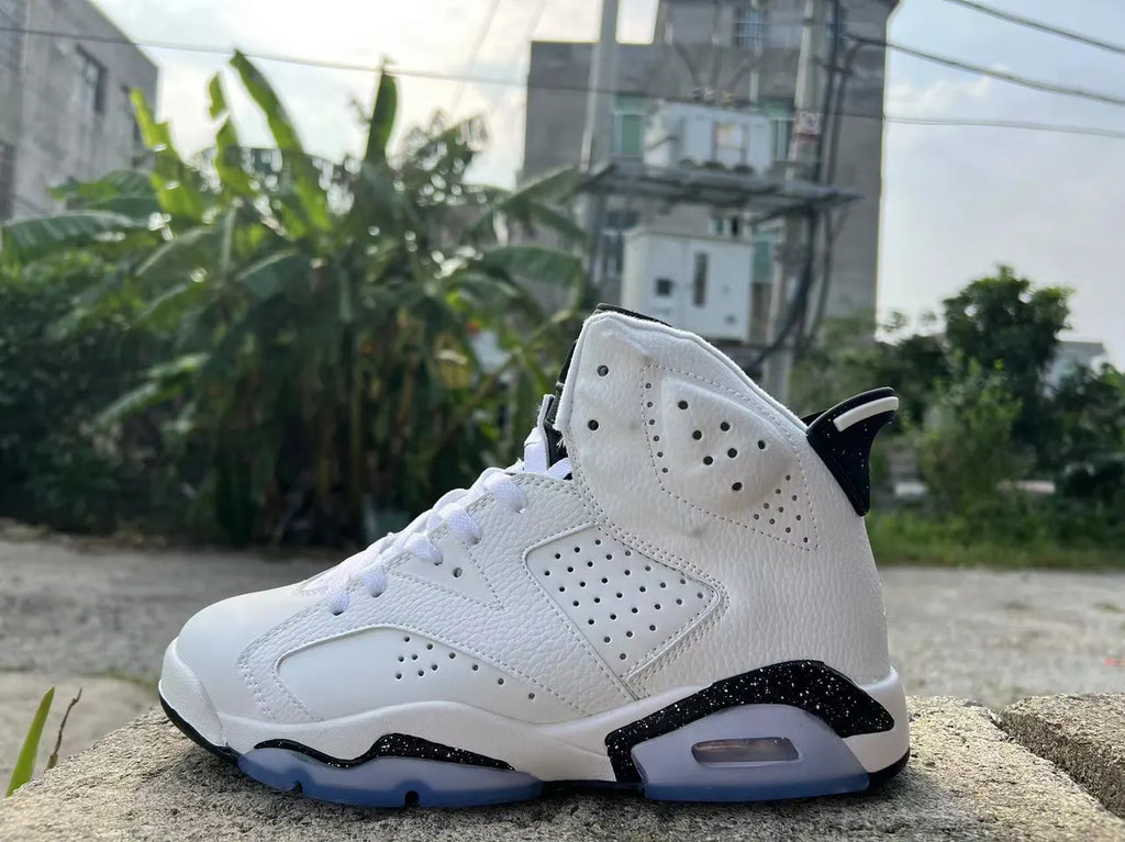 Air Jordan 6 White Oreo
