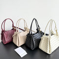 Bottega Veneta Multicolor Designer Handbag Edition 41