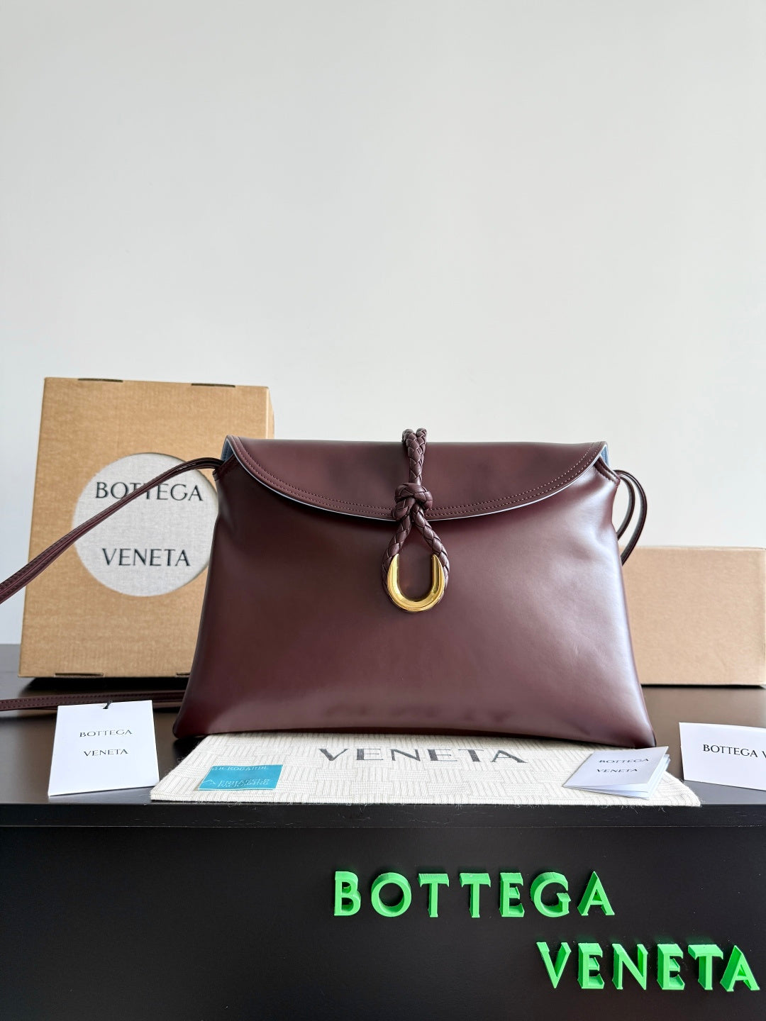 Bottega Veneta Light Blue & Blue Designer Handbag Edition 4