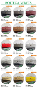 Bottega Veneta Silver Designer Handbag Edition 100