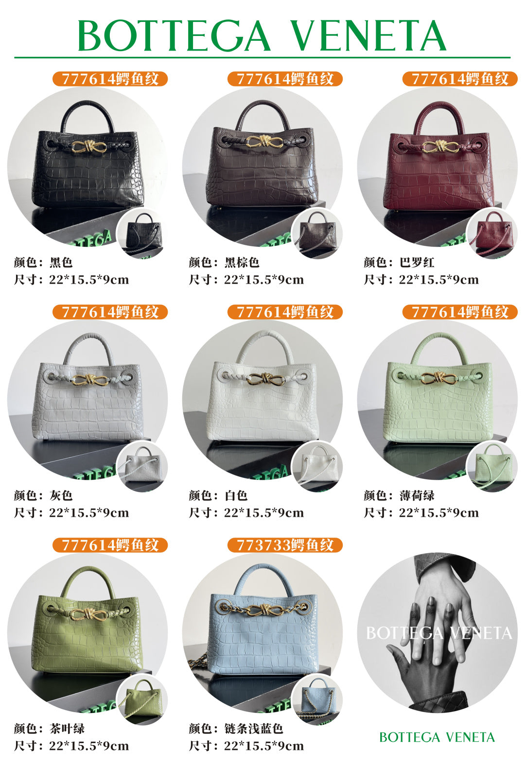 Bottega Veneta Silver Designer Handbag Edition 53