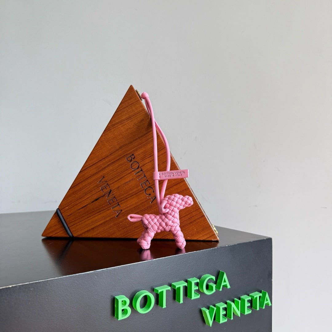 Bottega Veneta Pink Designer Handbag Edition 4
