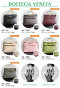 Bottega Veneta Silver Designer Handbag Edition 12