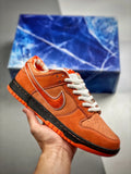 low Nike SB Dunk Orange
