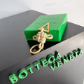 Bottega Veneta Green Designer Handbag Edition 56