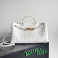 Bottega Veneta Silver Designer Handbag Edition 14
