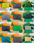 Bottega Veneta Green & Orange Card Holder Edition 2
