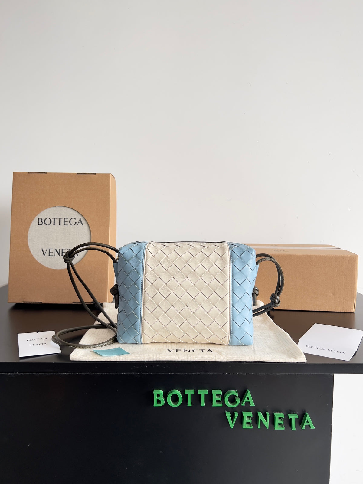 Bottega Veneta Light Blue & Blue Designer Handbag Edition 10