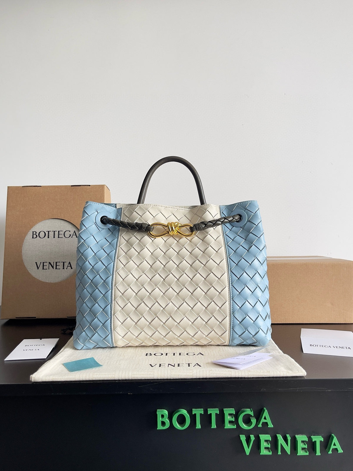 Bottega Veneta Light Blue & Blue Designer Handbag Edition 9