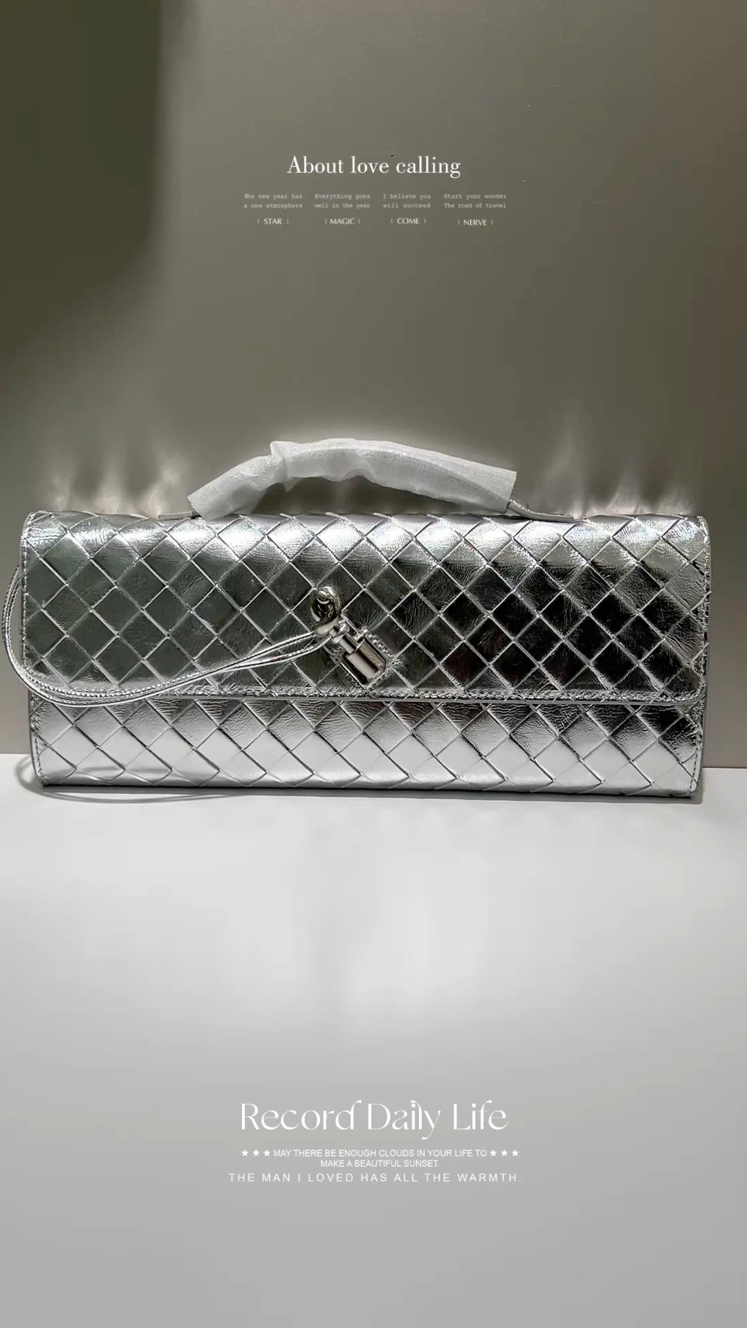 Bottega Veneta Silver Designer Handbag Edition 140