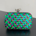 Bottega Veneta Multicolor Designer Handbag Edition 42