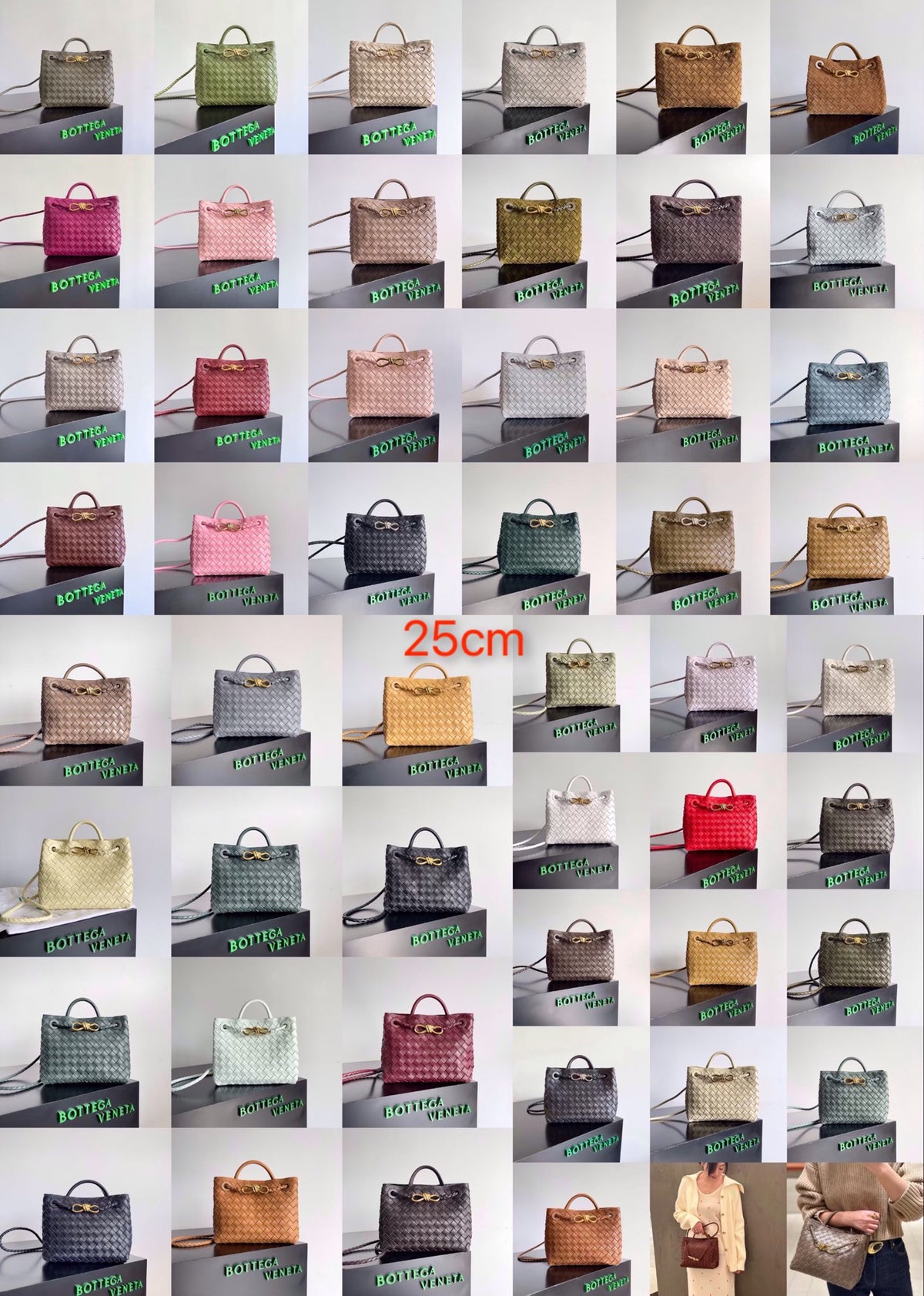 Bottega Veneta Silver Designer Handbag Edition 115