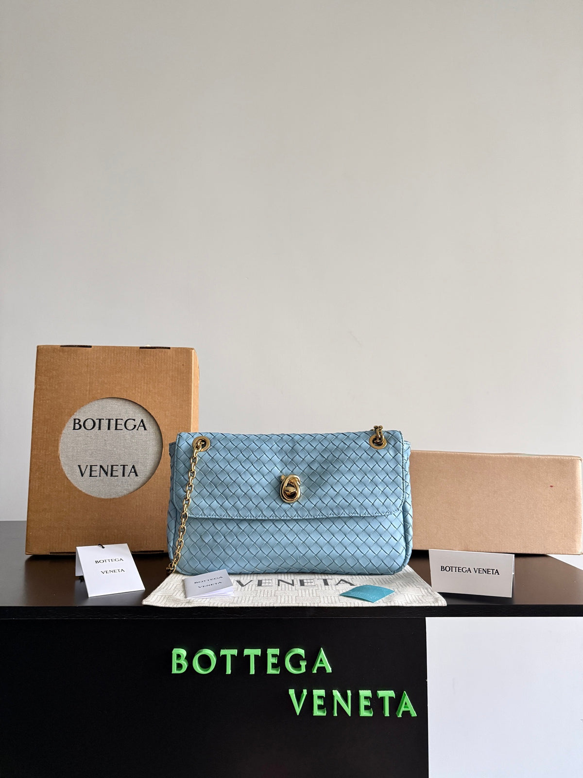 Bottega Veneta Light Blue & Blue Designer Handbag