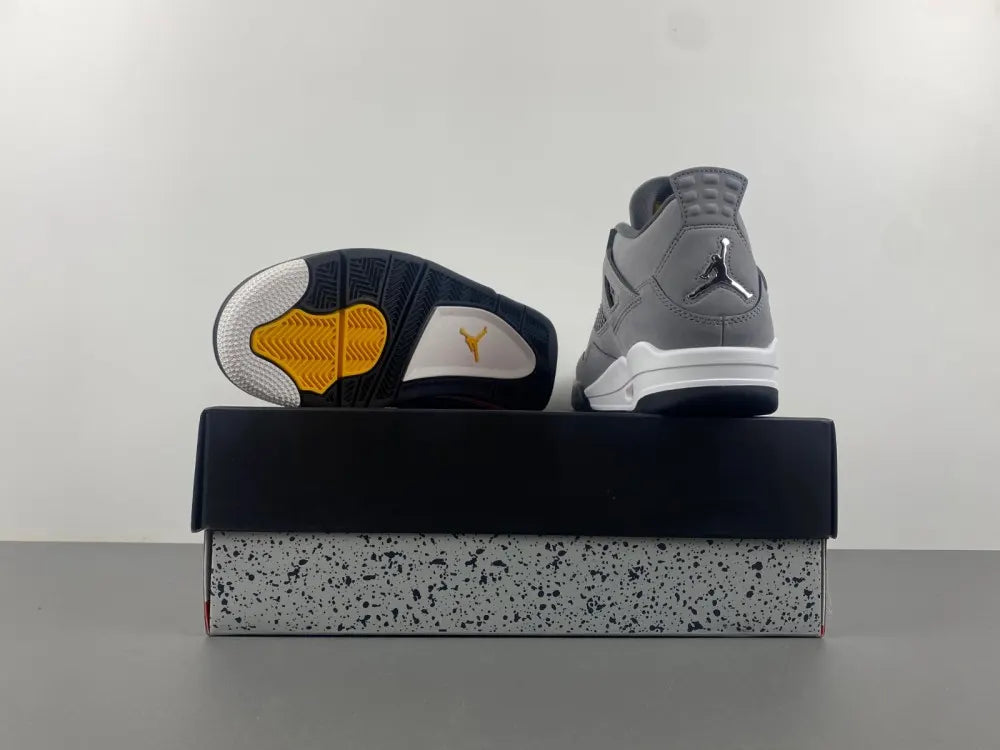 Air Jordan 4 Retro Cool Grey iconic - Hình 2