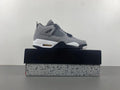 Air Jordan 4 Retro Cool Grey iconic