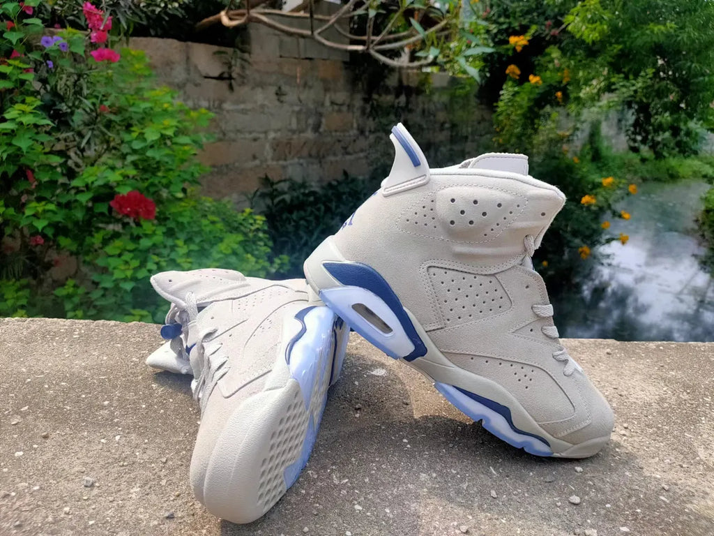 Jordan 6 Taupe Navy - Hình 2
