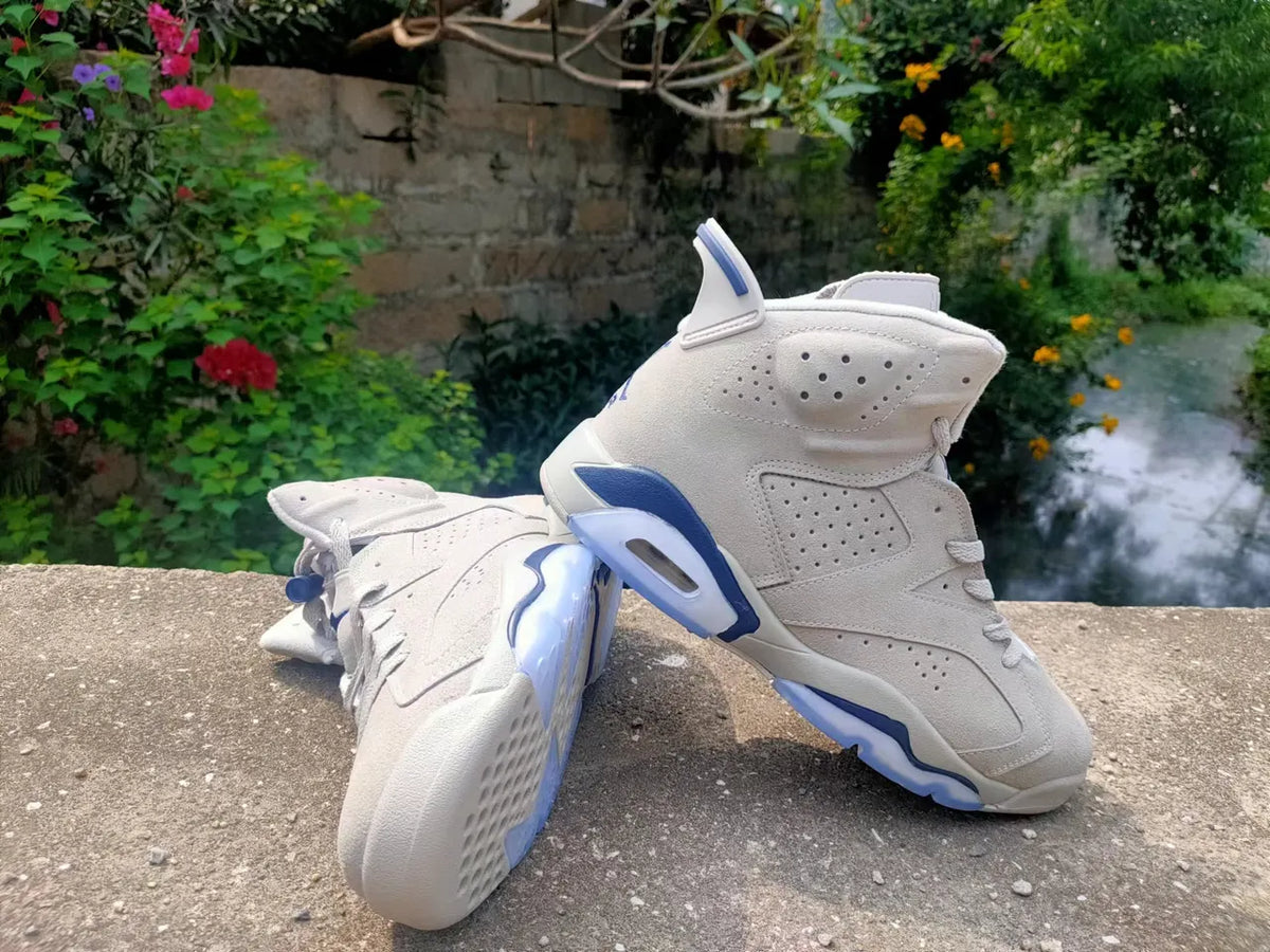 Jordan 6 Taupe Navy - Hình 2