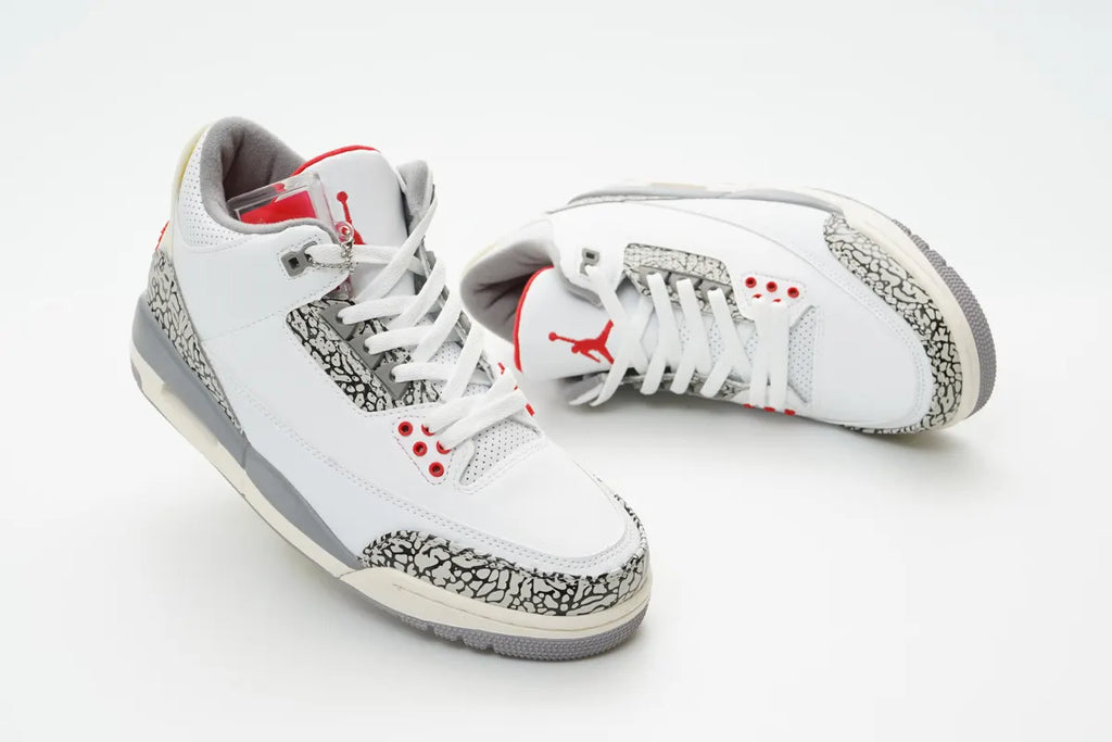 Air Jordan 3 White Cement retro iconic - Hình 5