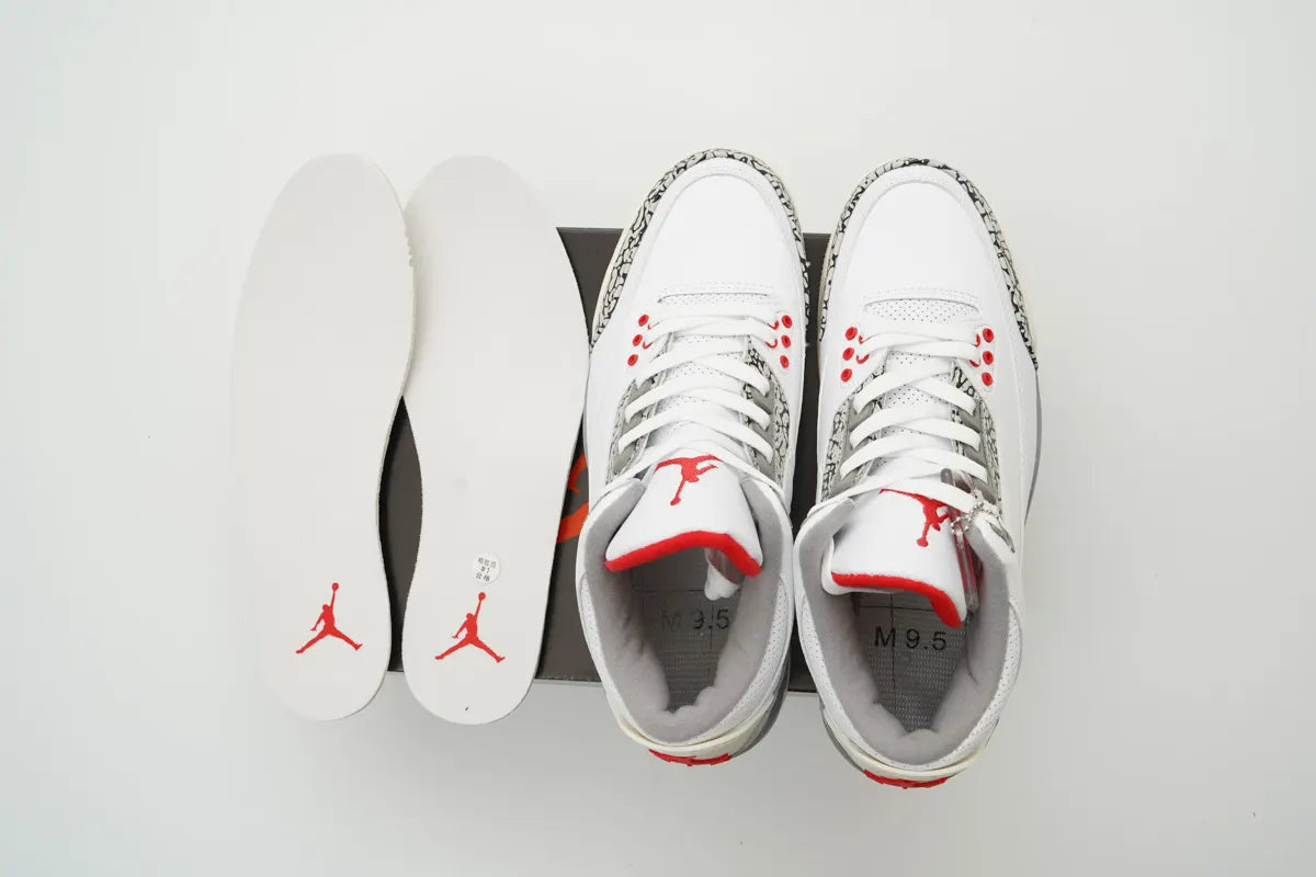 Air Jordan 3 White Cement retro iconic - Hình 10