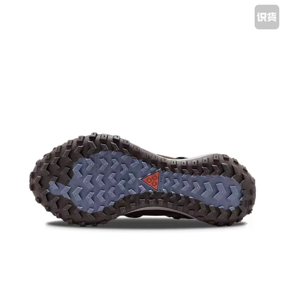 Nike ACG Mountain Fly 2 Low