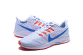 Nike Air Zoom Pegasus 39 White/Blue