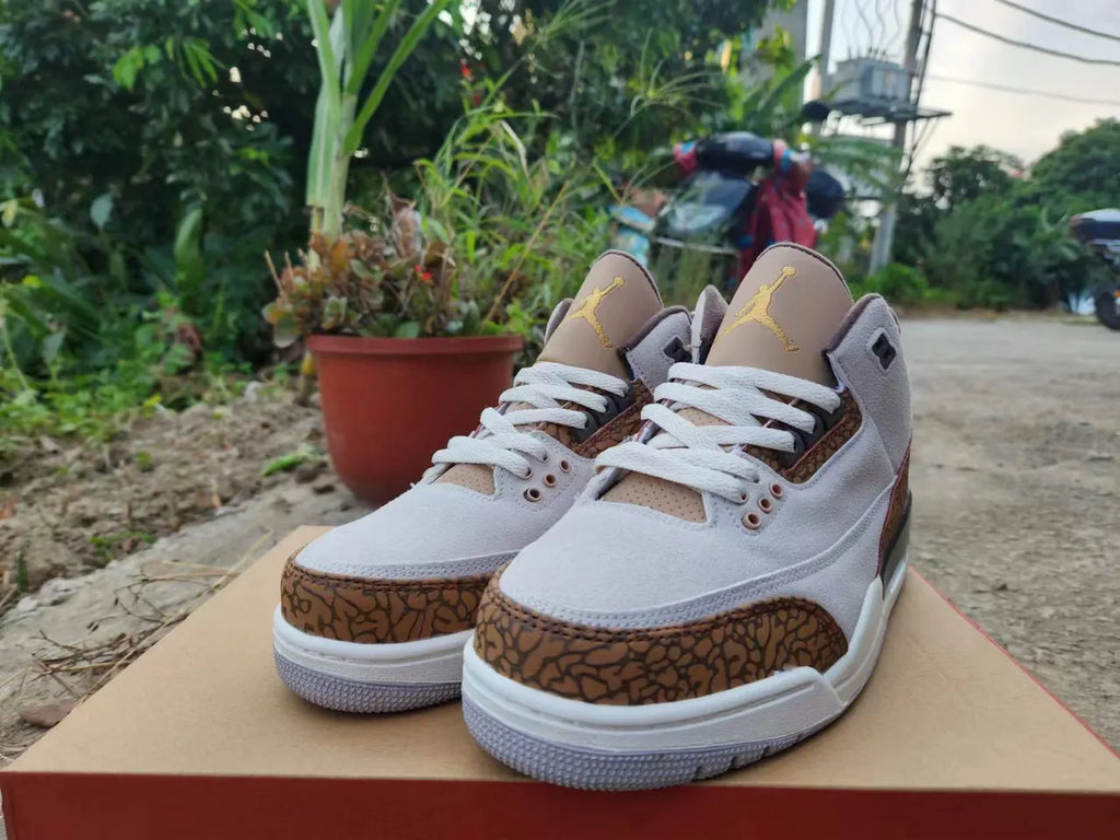 Air Jordan 3 Retro Desert Elephant - Hình 4
