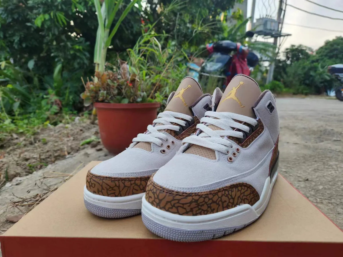 Air Jordan 3 Retro Desert Elephant - Hình 4