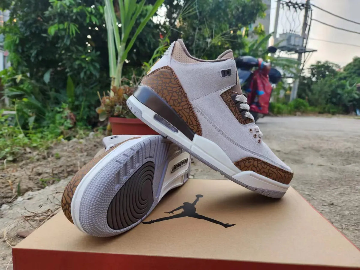 Air Jordan 3 Retro Desert Elephant - Hình 2