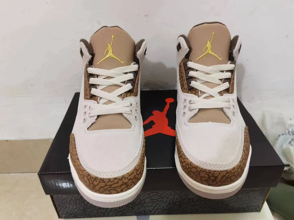 Air Jordan 3 Retro Desert - Hình 2