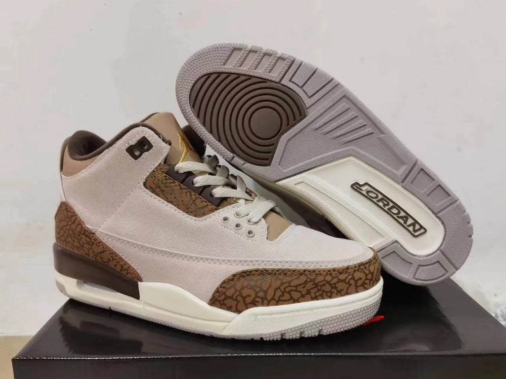 Air Jordan 3 Retro Desert