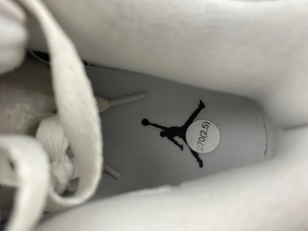 Air Jordan 4 Retro Metallic Silver - Hình 6